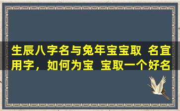 生辰八字名与兔年宝宝取  名宜用字，如何为宝  宝取一个好名字